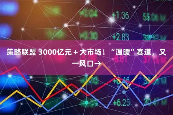 策略联盟 3000亿元＋大市场！“温暖”赛道，又一风口→