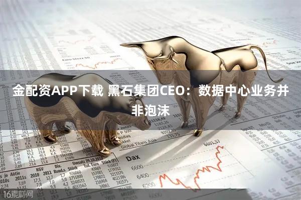 金配资APP下载 黑石集团CEO：数据中心业务并非泡沫