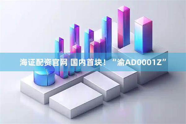 海证配资官网 国内首块!“渝AD0001Z”