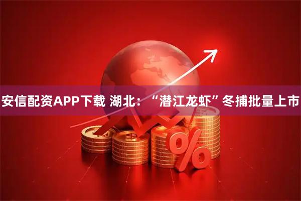 安信配资APP下载 湖北：“潜江龙虾”冬捕批量上市