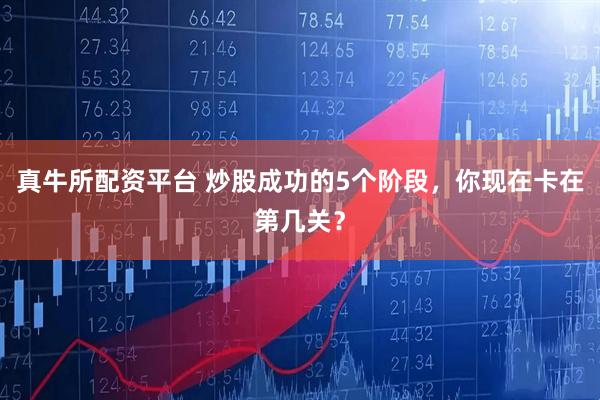 真牛所配资平台 炒股成功的5个阶段，你现在卡在第几关？