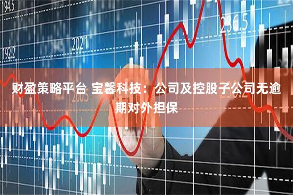 财盈策略平台 宝馨科技：公司及控股子公司无逾期对外担保
