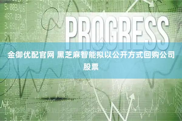 金御优配官网 黑芝麻智能拟以公开方式回购公司股票
