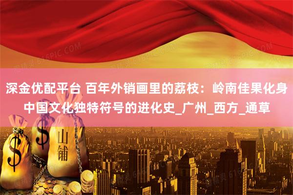深金优配平台 百年外销画里的荔枝：岭南佳果化身中国文化独特符号的进化史_广州_西方_通草