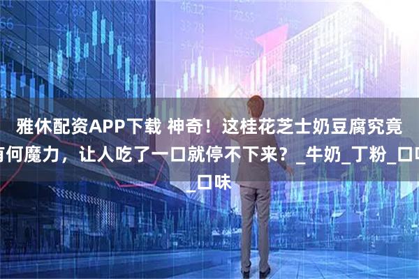 雅休配资APP下载 神奇！这桂花芝士奶豆腐究竟有何魔力，让人吃了一口就停不下来？_牛奶_丁粉_口味