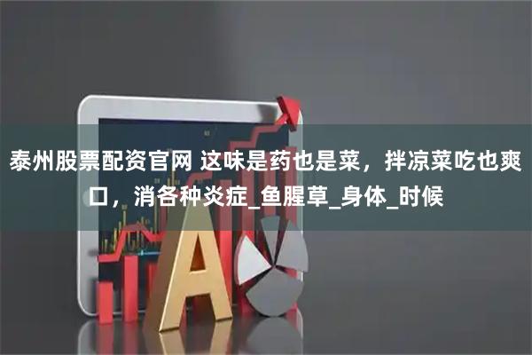 泰州股票配资官网 这味是药也是菜，拌凉菜吃也爽口，消各种炎症_鱼腥草_身体_时候