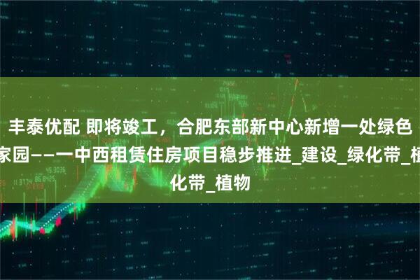 丰泰优配 即将竣工，合肥东部新中心新增一处绿色新家园——一中西租赁住房项目稳步推进_建设_绿化带_植物