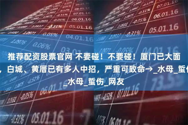 推荐配资股票官网 不要碰！不要碰！厦门已大面积出现，白城、黄厝已有多人中招，严重可致命→_水母_蜇伤_网友