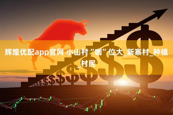 辉煌优配app官网 小山村“咖”位大_新寨村_种植_村民
