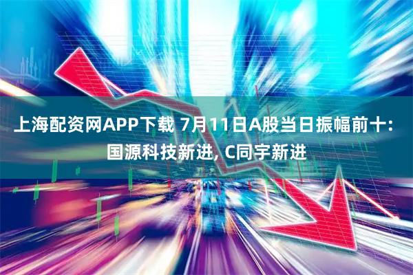 上海配资网APP下载 7月11日A股当日振幅前十: 国源科技新进, C同宇新进