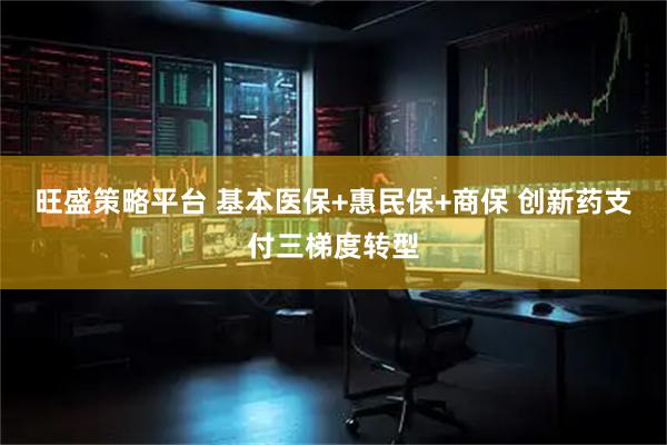 旺盛策略平台 基本医保+惠民保+商保 创新药支付三梯度转型