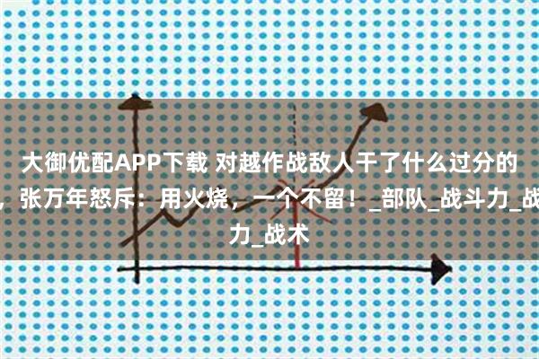 大御优配APP下载 对越作战敌人干了什么过分的事，张万年怒斥：用火烧，一个不留！_部队_战斗力_战术
