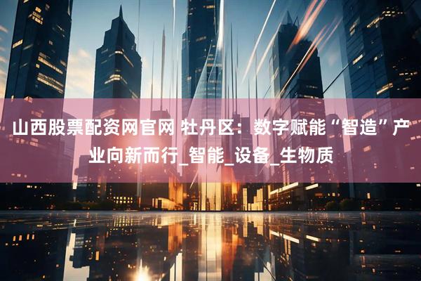 山西股票配资网官网 牡丹区：数字赋能“智造”产业向新而行_智能_设备_生物质