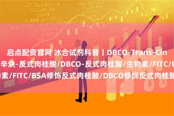 启点配资官网 冰合试剂科普丨DBCO-Trans-Cinnamic acid/二苯并环辛炔-反式肉桂酸/DBCO-反式肉桂酸/生物素/FITC/BSA修饰反式肉桂酸/DBCO修饰反式肉桂酸_分子_化学_反应