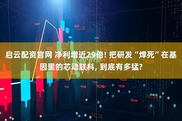 启云配资官网 净利增近29倍! 把研发“焊死”在基因里的芯动联科, 到底有多猛?